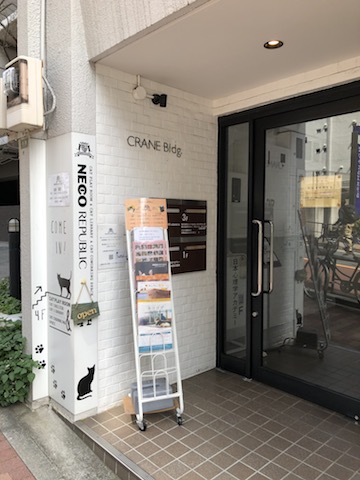御茶ノ水 ねこカフェを知ってしまった話 保護猫 せつpのブログ